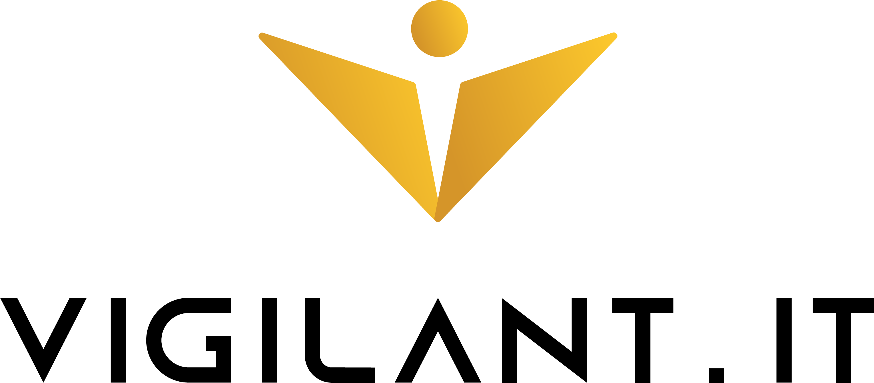 Vigilant IT Logo
